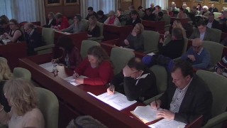 Mötets öppnande och upprop