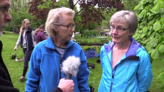 Bland blommor och blad - Friendship
