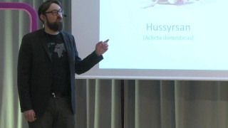 Ät insekter och rädda världen