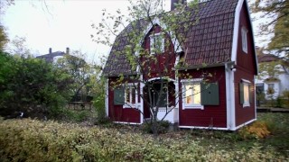 Unga kommunutvecklare