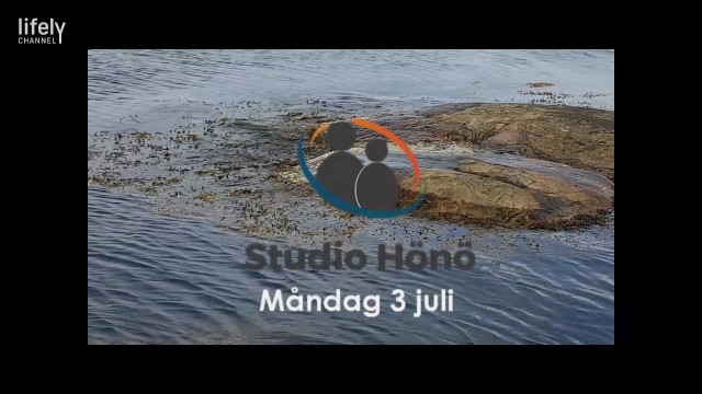 Studio Hönö