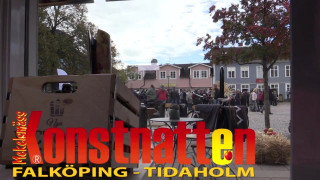 Bildkällaren och Rizoma galleri