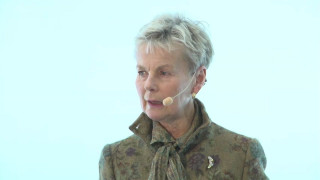 Elisabeth Nilsson, utredare