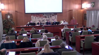 Besvarande av motion om att återuppliva karnevalen i Falköping