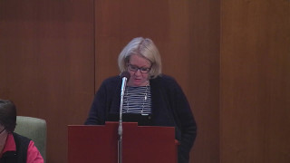 Allmänhetens frågestund