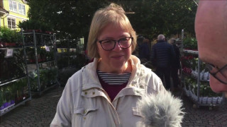 Välkommen till bildkällaren och Maria Segerström