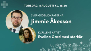 Jimmie Åkesson, Sverigedemokraterna