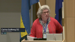 5. Regiongemensamma stödfunktioner