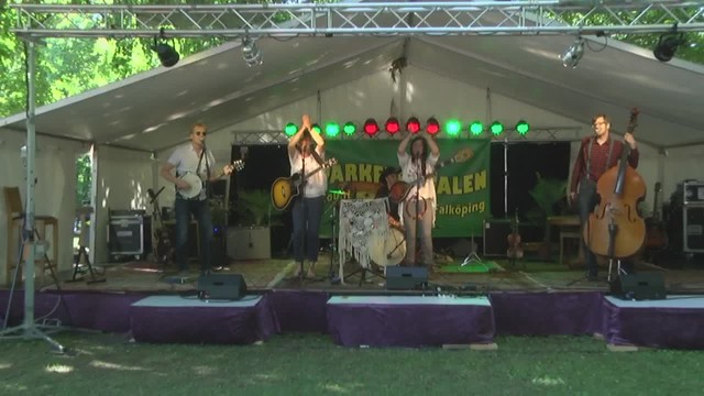 forts. Mockingbird Hillbillies