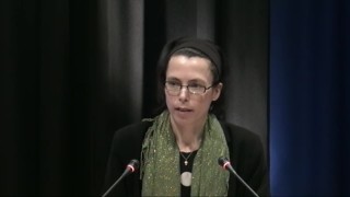 Motion om klimatrevision besvarad 