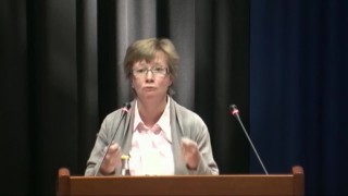 Interpellation: om flygresornas roll
