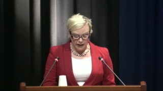 Budgeten 2012 - Hälso- och Sjukvård (fortsättning)