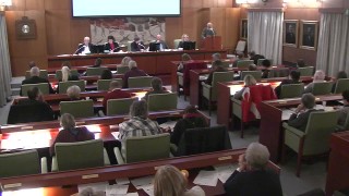 Interpellation om förskolan Mandelblomman