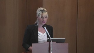 Besvarande av motion om utredning av vindkraftens framtid