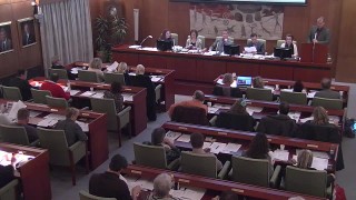 Besvarande av motion om daglig verksamhet på äldreboende