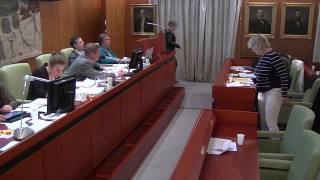 Motion om en strategi för bättre skolresultat i grundskolan