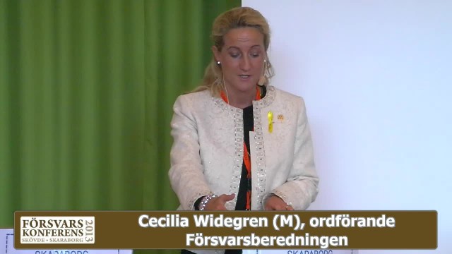Cecillia Widegren - Nästa försvarsbeslut: Min blick framåt