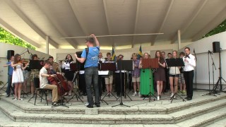 Sommar-sommar Profilorkestern