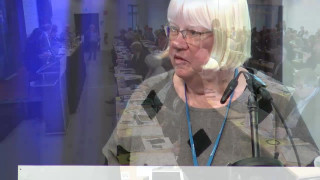 Interpellation av Ann-Christine Andersson (S) om bland annat tillgängligheten till vård