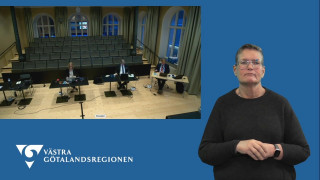 Motion om tillgång till doulor och kulturtolkar