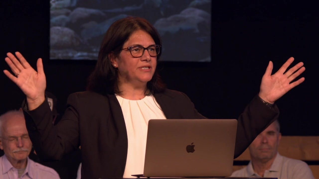 Möte med Annahita Parsan