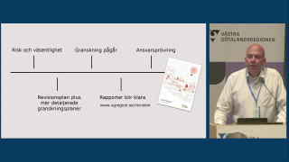 A. Revisionsplan 2024 med inriktning för 2025–2026