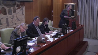 17-24. Entlediganden och anmälningsärenden i kommunfullmäktige