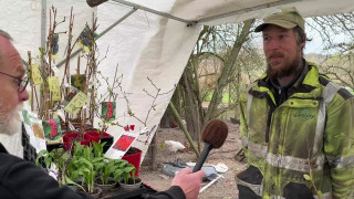 43. Wardins Gårdsprodukter - Grustorps Plantskola