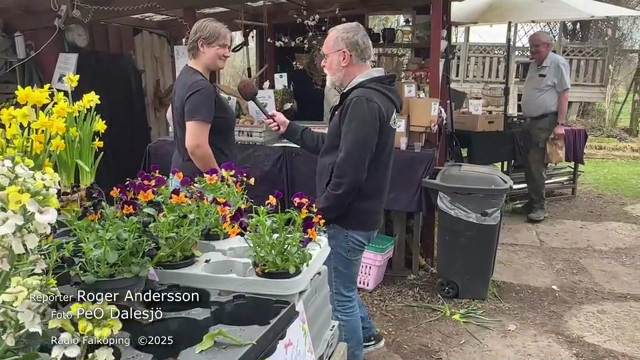 43. Wardins Gårdsprodukter -  Majken