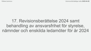 Ärende 17