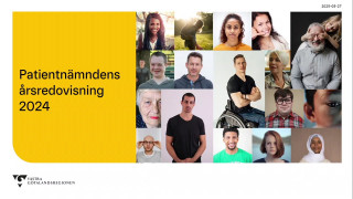 B. Patientnämndernas årsredovisning