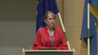 6. Fortsättning: Vinstdrivande aktörer i vårdval (Interpellation)