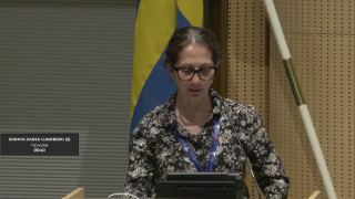 Utvecklingsdebatt, Rättighetsfrågor (19,22)
