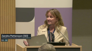 11. Interpellation: Pettersson om antisemitism & judiskt liv