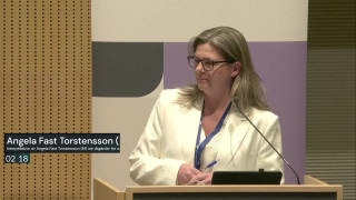 13. Interpellation: Fast Torstensson om biljettkontrollanter