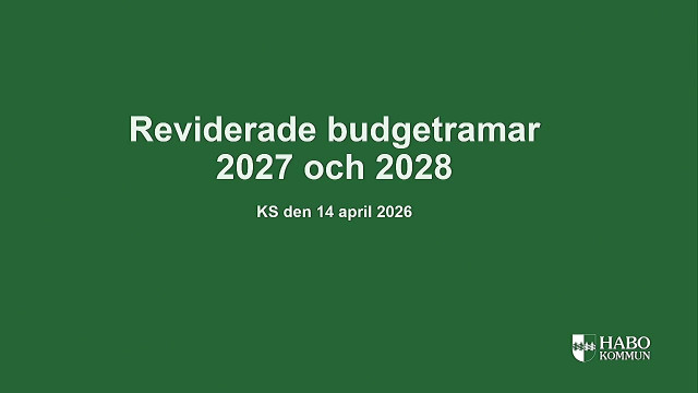 3. Reviderade ekonomiska ramar för 2027 och 2028