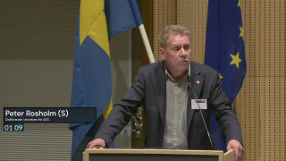 10. Interpellation om patientsäkerhet inom psykiatrin på SÄS
