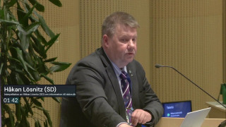 11. Interpellation om information till sköra äldre