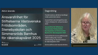 12–14. Ansvarsfrihet för verksamhetsåret 2025